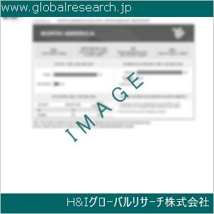 グローバルリサーチ調査資料のイメージ